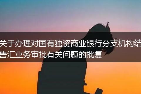 关于办理对国有独资商业银行分支机构结售汇业务审批有关问题的批复