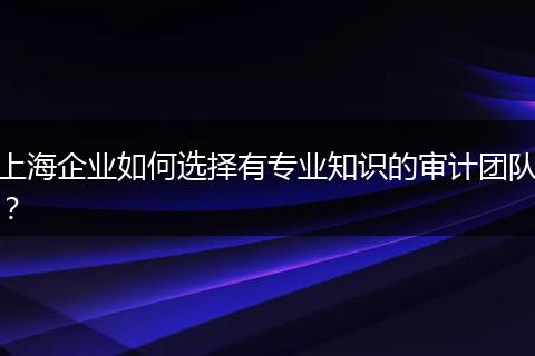 上海企业如何选择有专业知识的审计团队？
