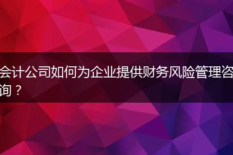 会计公司如何为企业提供财务风险管理咨询？