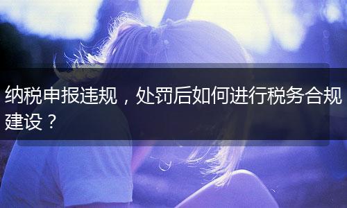 纳税申报违规，处罚后如何进行税务合规建设？