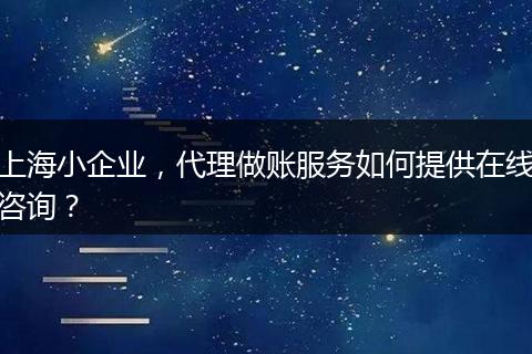 上海小企业，代理做账服务如何提供在线咨询？