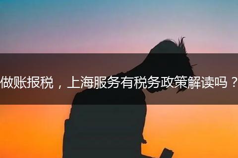 做账报税，上海服务有税务政策解读吗？