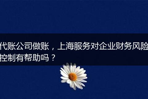 代账公司做账，上海服务对企业财务风险控制有帮助吗？