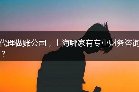 代理做账公司，上海哪家有专业财务咨询？