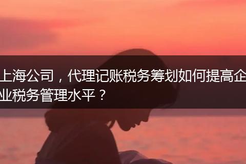 上海公司，代理记账税务筹划如何提高企业税务管理水平？