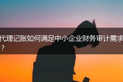 代理记账如何满足中小企业财务审计需求？
