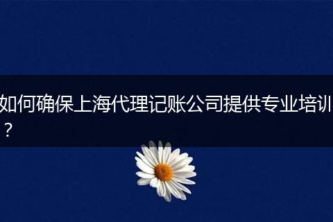 如何确保上海代理记账公司提供专业培训？