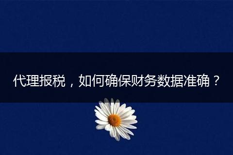 代理报税，如何确保财务数据准确？