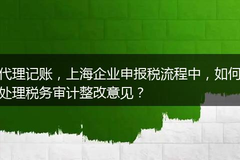 代理记账，上海企业申报税流程中，如何处理税务审计整改意见？