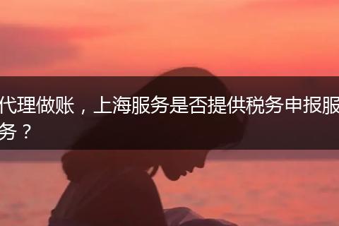 代理做账，上海服务是否提供税务申报服务？