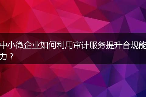 中小微企业如何利用审计服务提升合规能力？