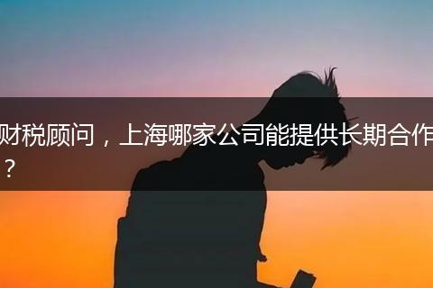 财税顾问，上海哪家公司能提供长期合作？
