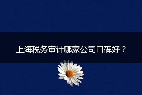 上海税务审计哪家公司口碑好？