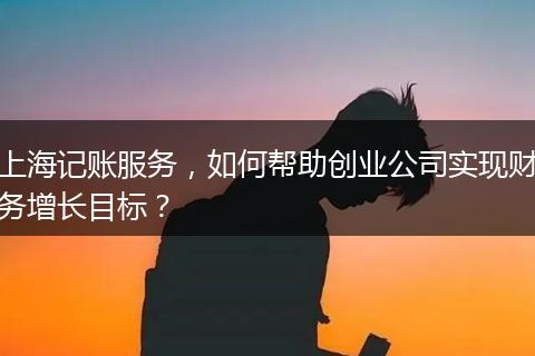上海记账服务，如何帮助创业公司实现财务增长目标？