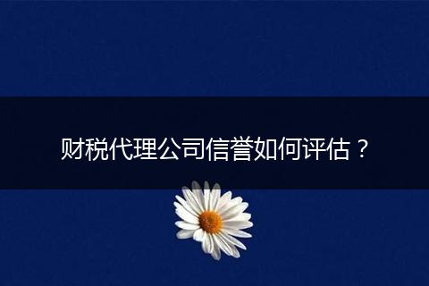 财税代理公司信誉如何评估？