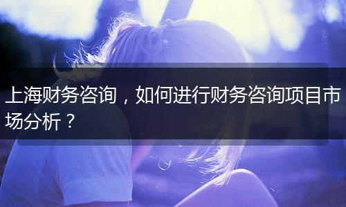 上海财务咨询，如何进行财务咨询项目市场分析？