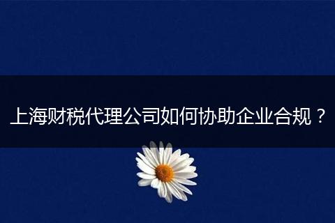 上海财税代理公司如何协助企业合规？