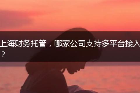 上海财务托管，哪家公司支持多平台接入？
