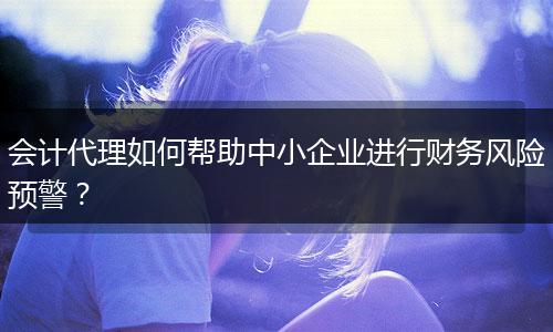 会计代理如何帮助中小企业进行财务风险预警？