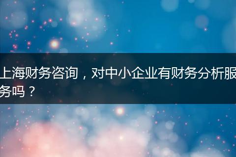 上海财务咨询，对中小企业有财务分析服务吗？