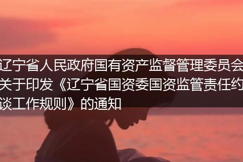 辽宁省人民政府国有资产监督管理委员会关于印发《辽宁省国资委国资监管责任约谈工作规则》的通知