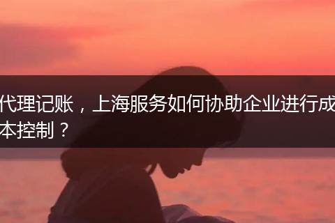 代理记账，上海服务如何协助企业进行成本控制？