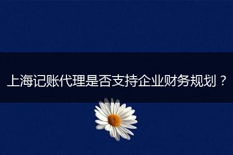 上海记账代理是否支持企业财务规划？