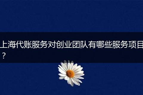 上海代账服务对创业团队有哪些服务项目？