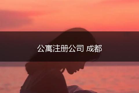 公寓注册公司 成都