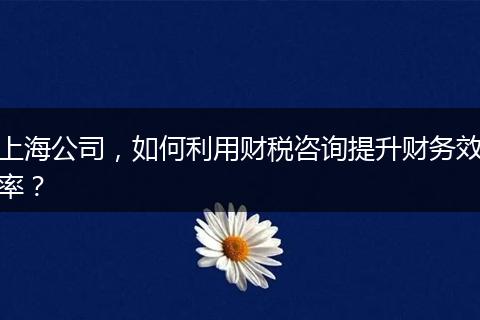 上海公司，如何利用财税咨询提升财务效率？