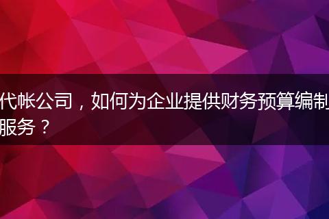 代帐公司，如何为企业提供财务预算编制服务？