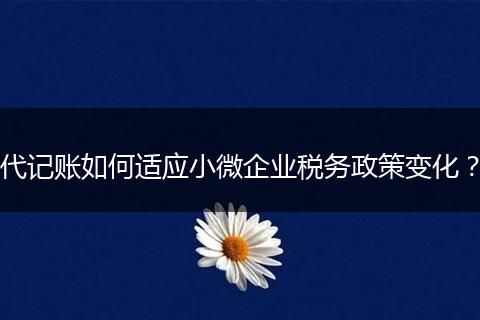 代记账如何适应小微企业税务政策变化？