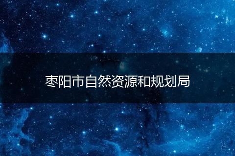 枣阳市自然资源和规划局