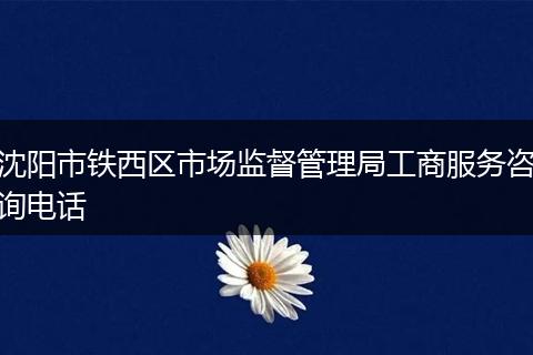 沈阳市铁西区市场监督管理局工商服务咨询电话