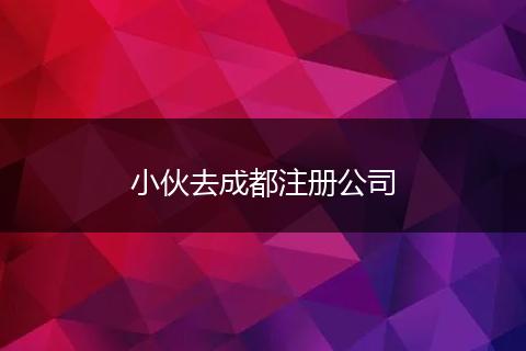 小伙去成都注册公司