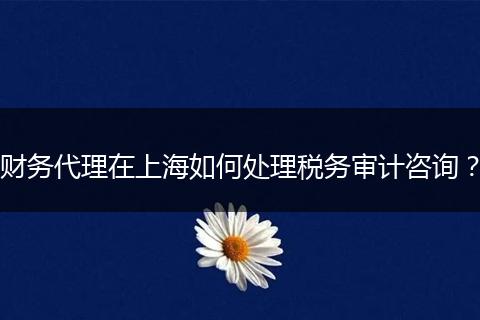 财务代理在上海如何处理税务审计咨询？