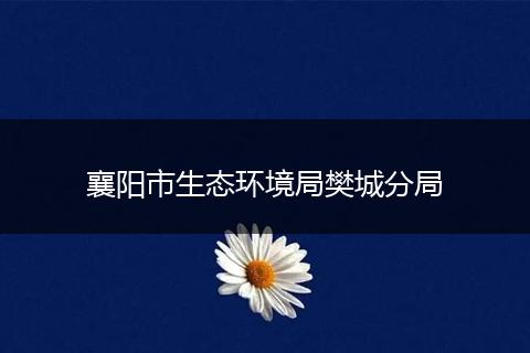 襄阳市生态环境局樊城分局