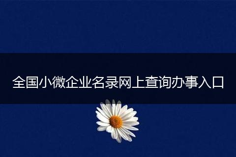 全国小微企业名录网上查询办事入口