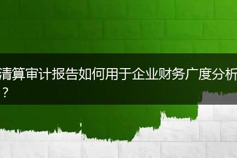 清算审计报告如何用于企业财务广度分析？