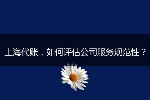 上海代账，如何评估公司服务规范性？