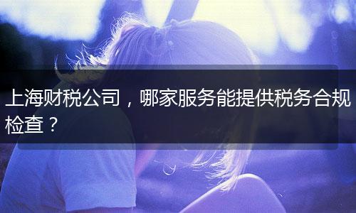 上海财税公司，哪家服务能提供税务合规检查？