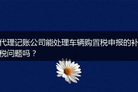 代理记账公司能处理车辆购置税申报的补税问题吗？