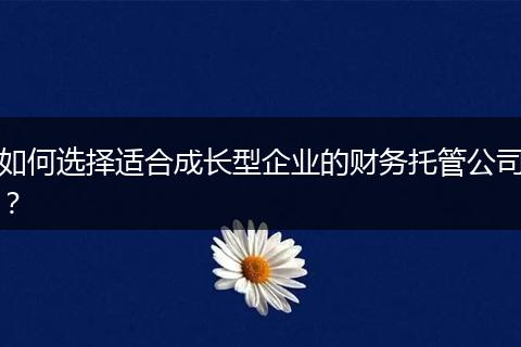 如何选择适合成长型企业的财务托管公司？