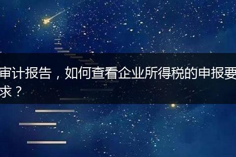 审计报告，如何查看企业所得税的申报要求？