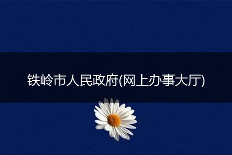 铁岭市人民政府(网上办事大厅)