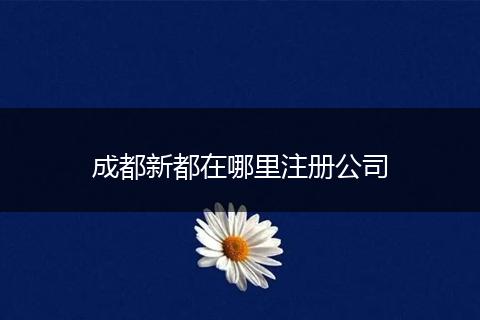 成都新都在哪里注册公司