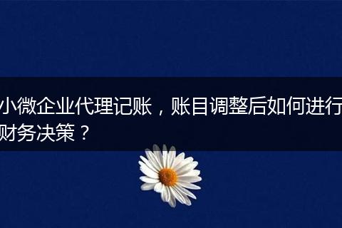 小微企业代理记账，账目调整后如何进行财务决策？