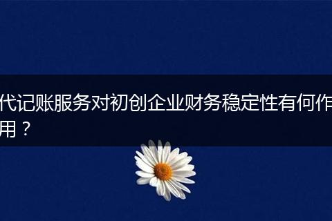 代记账服务对初创企业财务稳定性有何作用？