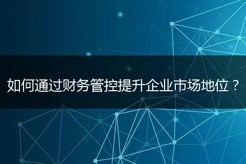 如何通过财务管控提升企业市场地位？