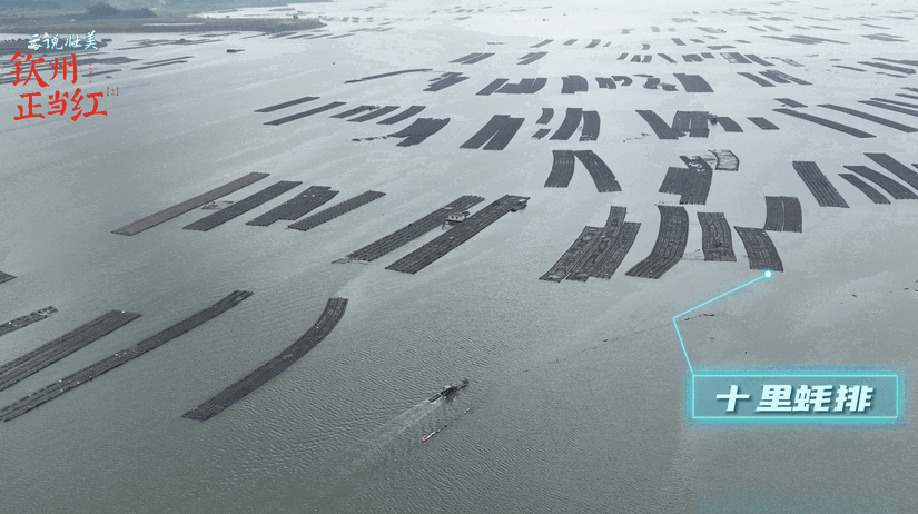 钦州市人民政府